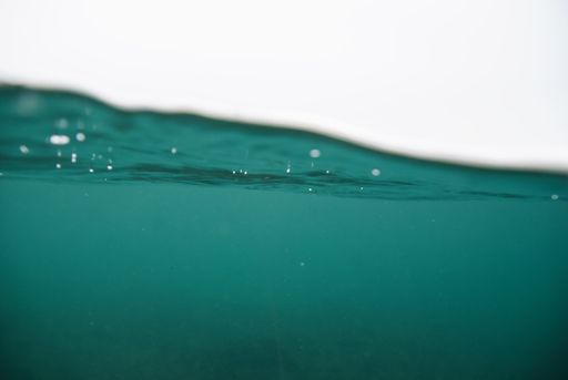 A beautiful shot captured underwater near the surface with a waterproof camera
