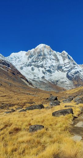 A vertical shot of an high snowy mountain and a dry field with dark blue sky in the background