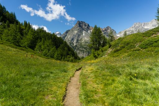 A green nature landscape in the Alps on a fine afternoon in Italy