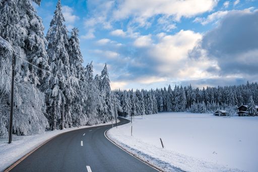 A road through a Bavarian winter forest with snow-covered coniferous trees on the German Alps