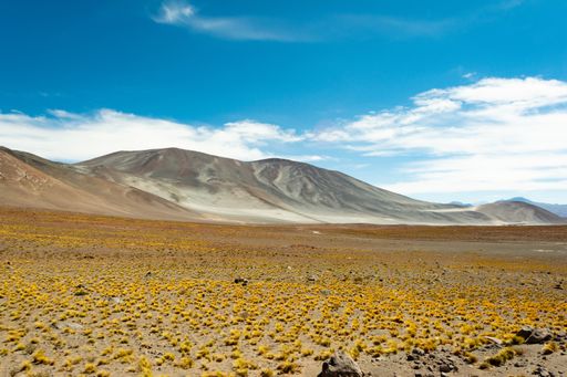 A beautiful shot of desert landscapes at sunset in Chile