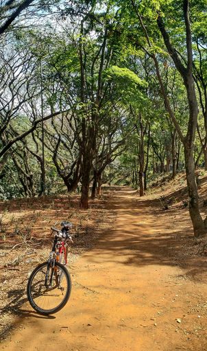 A vertical shot of a bicycle in a park in Sao Paulo