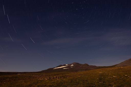 The starry night sky over the grass field