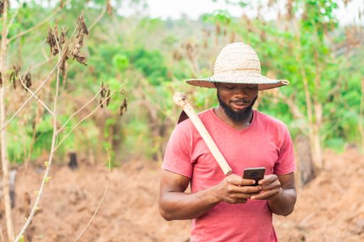 An African male farmer checking his phone