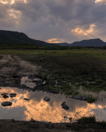 A vertical shot of a swamp in a field in the background of mountains.