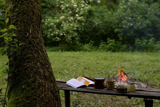 A herbal tea with honey served along with a book on the bench outdoors next to a bonfire