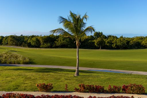 A palm tree planted on the edge of a golf course observed on a beautiful morning
