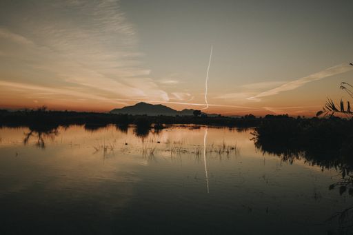 A beautiful shot of a lake surrounded by greenery at sunset under a clear sky