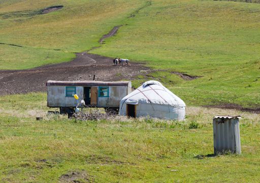 The yurt in the rural areas of Kyrgyzstan with the cattle in the background