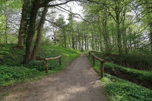 A narrow pathway in a forest surrounded by beautiful trees in a forest in Hindsgavl, Middelfart