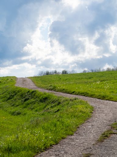 A beautiful view of a pathway surrounded by grassy fields in the countryside