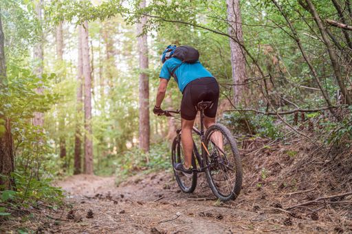 cyclist goes down at forest path