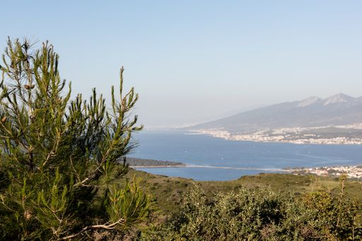 A landscape shot of the ocean surrounded by trees and houses