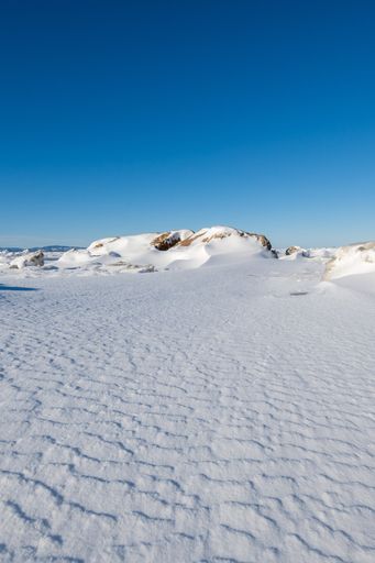 A beautiful landscape view of a snowy road outdoors with trees covered by snow