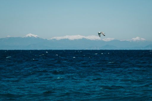 A beautiful shot of a seagull flying over dark blue sea water with mountains in the background