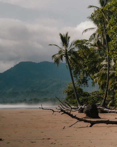 A beautiful shot of a beach in Costa Rica in Uvita