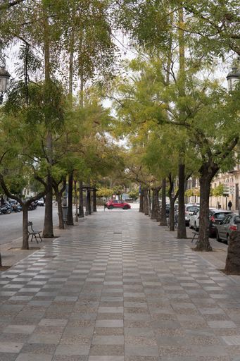 A Vertical shot of a pathway in a park surrounded by trees