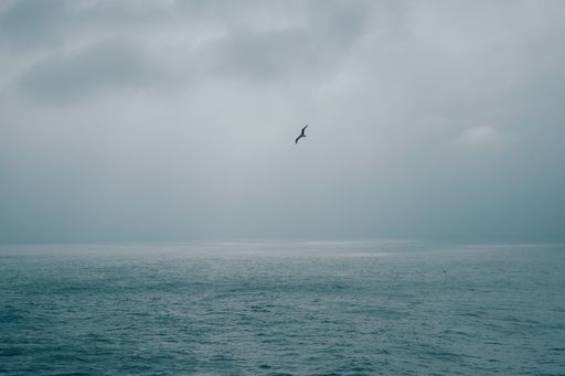 An eye-level shot of a bird flying over the sea under the dark cloudy sky