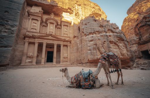 The camels in front of the historic Petra Wadi in Jordan