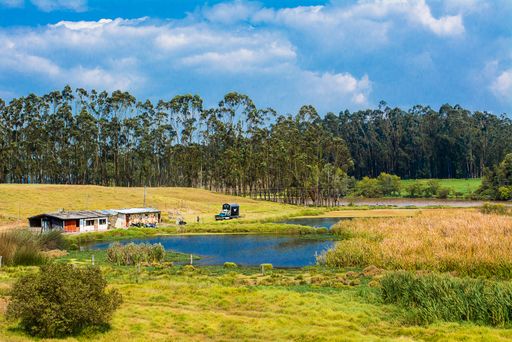 An amazing landscape with a beautiful little lake and green trees