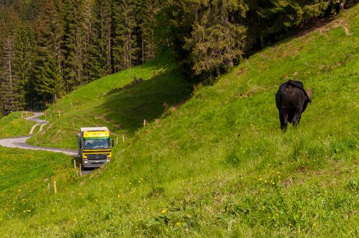 A cow along the narrow road with yellow vehicle captured in Switzerland
