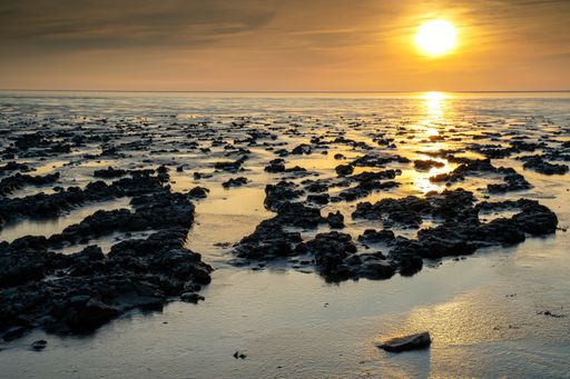 A breathtaking view of mudflat of the Waddenzee during low tide under amazing sunset sky with clouds