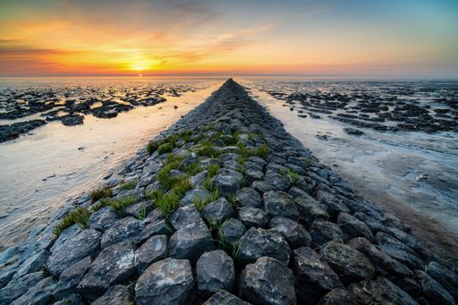 An amazing shot of a rocky beach on sunset background