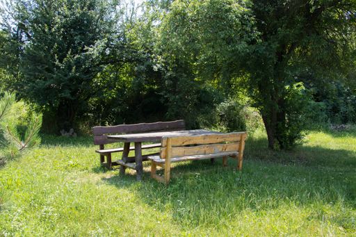 A wooden picnic table isolated in the nature on a sunny day