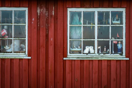 A beautiful shot of a tiny house with white windows