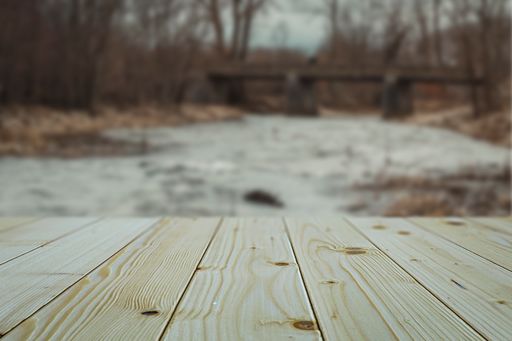 A closeup shot of a wooden table in a forest during the day