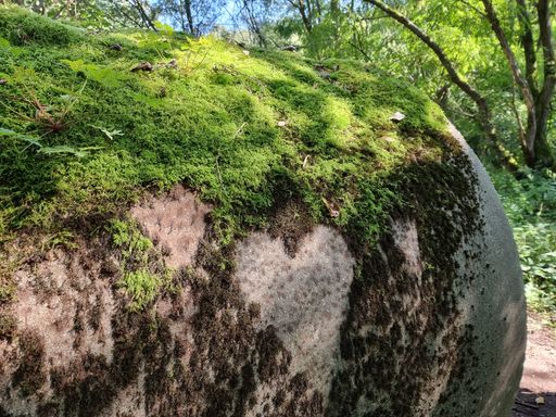 Herz auf mit Moos bewachsenem Steinrohr
