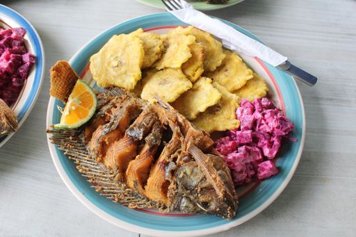 A closeup shot of a cooked fish, tostones and salad in a blue plate on a white surface