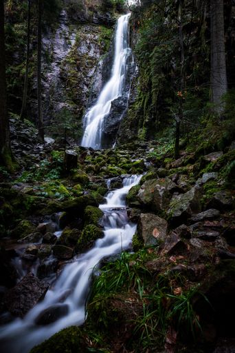 A beautiful shot of a waterfall in the forest