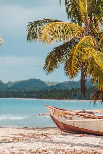 A vertical shot of the boats and palm trees on the beach on a sunny day