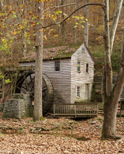 A vertical shot of a small wooden hut in the forest with fallen leaves