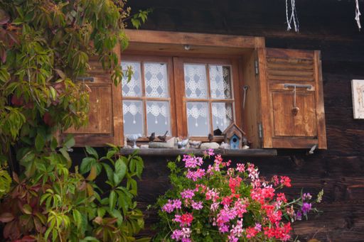 A small birdhouse on an open wooden window with plants and flowers