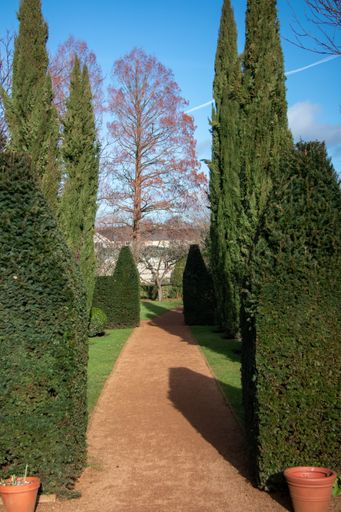 A vertical shot of a small garden with tree bushes and shrubs