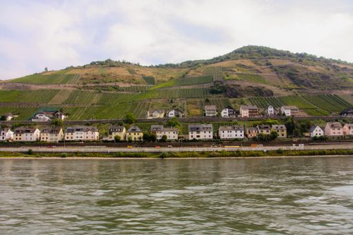 A beautiful shot of the Mosel river during the day