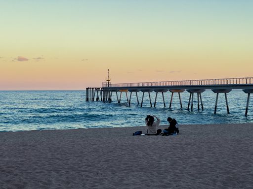 A back view of a young couple sitting on a sandy beach during the sunset