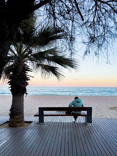 A rear view of a male sitting down the beach bench enjoying the seascape at sunset