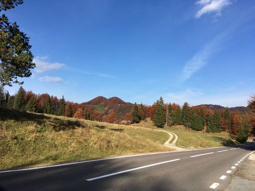 A long winding road trail through fields with autumn trees under a blue sky
