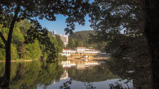 A tranquil lake reflecting the surrounding lush forest, creating a picturesque landscape