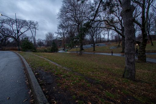 A view of a autumn trees in the park on a rainy day