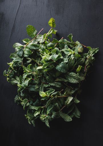 organic mint in black wood texture background