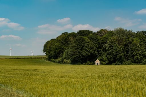 A beautiful shot of a green grass ground with trees under the blue sky