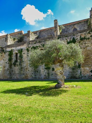 A beautiful shot of an old fortress