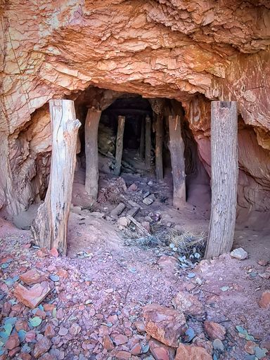 A vertical shot of the cave and the cut trees showing the path to the inside of it