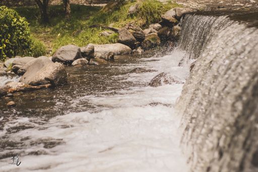 Fotografias de naturaleza tomadas en bogotá, colombia para llevar a otro nivel tus proyectos