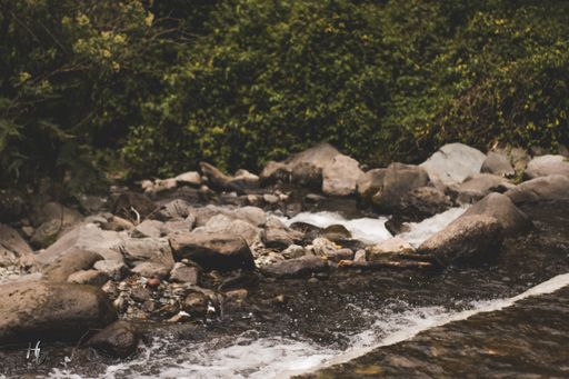 Fotografias de naturaleza tomadas en bogotá, colombia para llevar a otro nivel tus proyectos