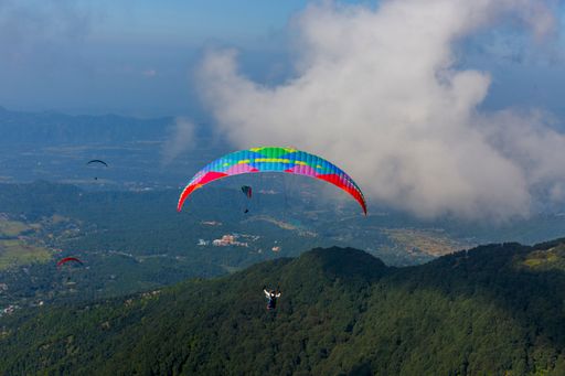 A beautiful view of a paraglider pilot flying on the Billing, in Kangra, Himachal Pradesh.